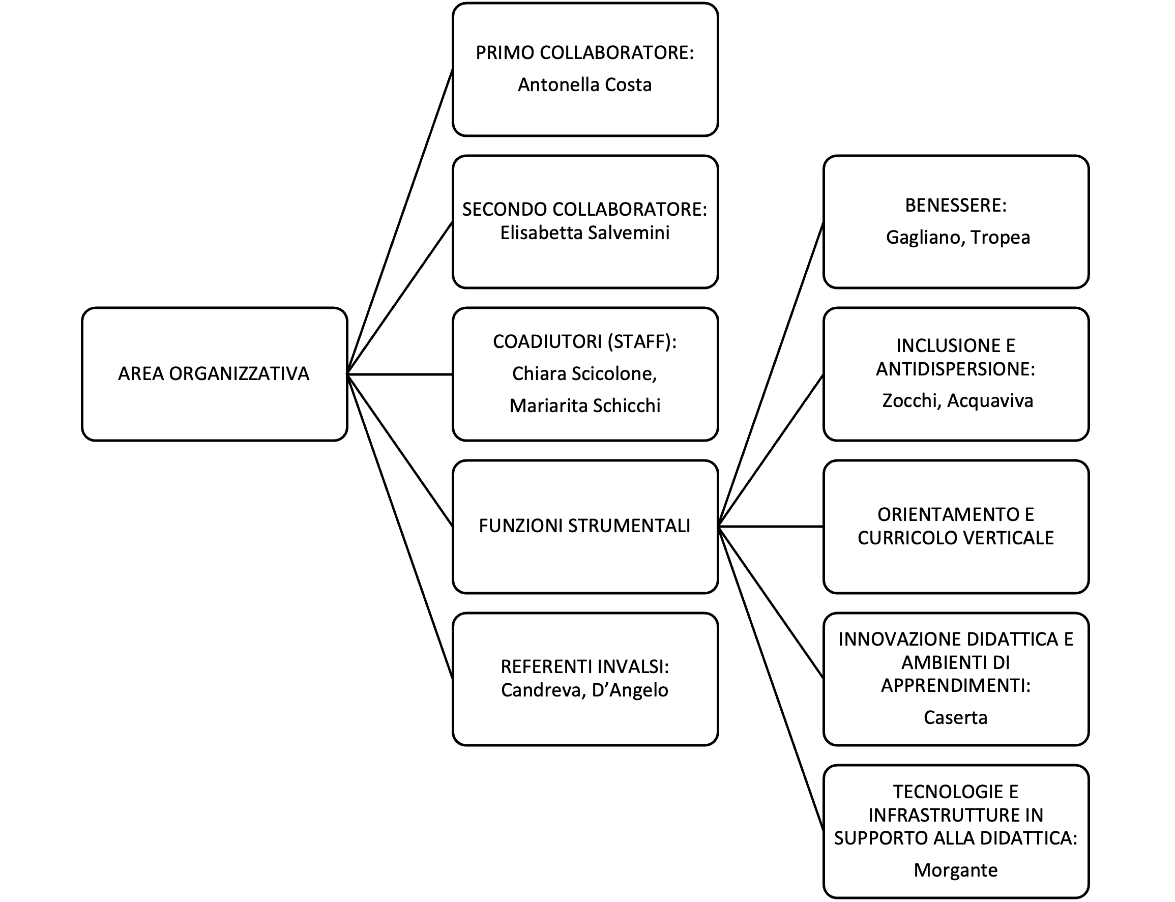 Area Organizzativa